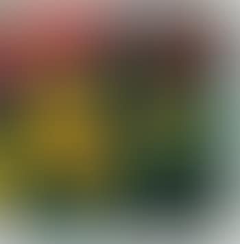 Mandarini e vite vergine (preview)