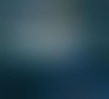27 8 84 (preview)