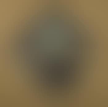 Which is Earth? (preview)