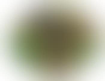 Senza titolo (preview)