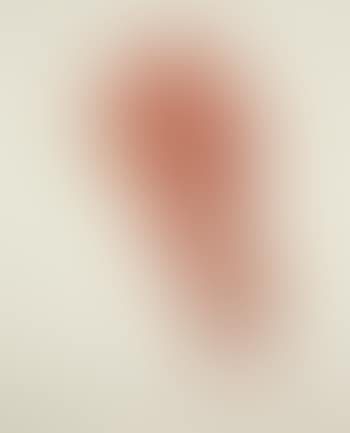 Opus 14 (preview)