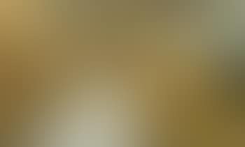 Untitled (Landscape) (preview)