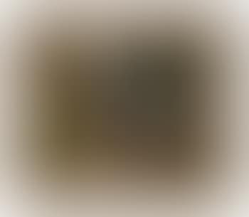 Paysage (preview)