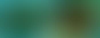 Dew on pine. Songs of bird (preview)