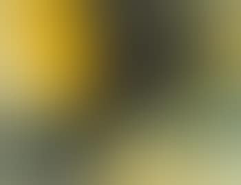 Abstract (preview)