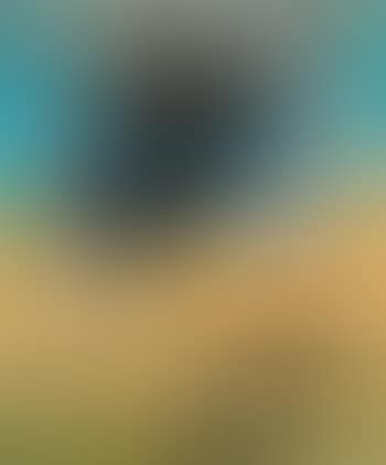 Manifestation (preview)
