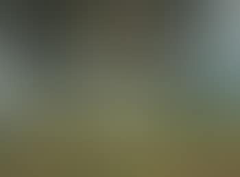 Paysage, Suisse (preview)