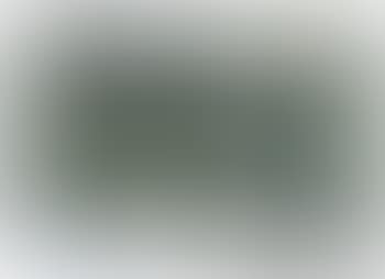 Paysage avec pont (preview)