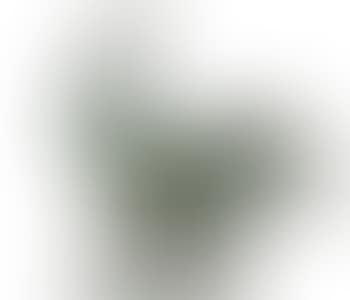 Coq (preview)