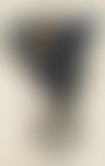 Devins et sorcières (preview)