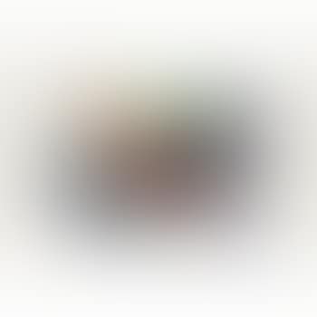 Vent (preview)