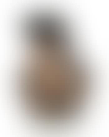 Centaure et visage (preview)