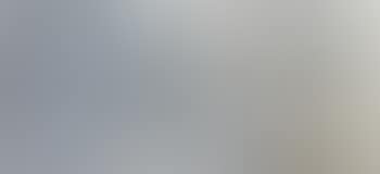 Bird in Flight (preview)