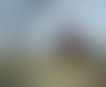 A sportsman thrown out, enquiring of a shepherd (preview)