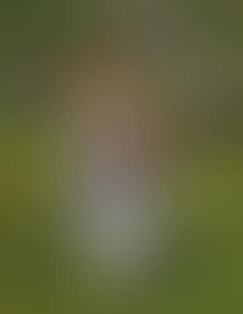 Girl and kitten in an orchard (preview)