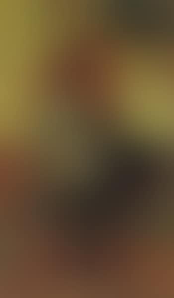 Geigerin (preview)
