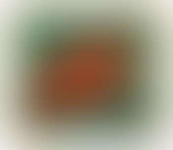 Realism (preview)