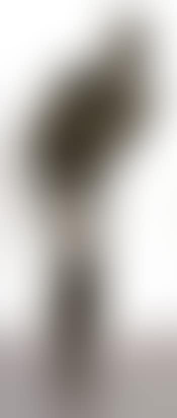 Gut IV (preview)