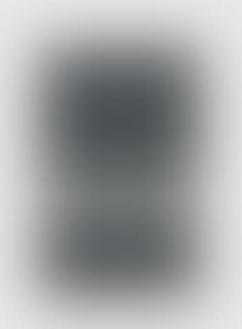 Untitled (Due Ovali Grigi) (preview)