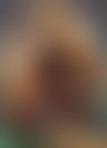 Wald (preview)