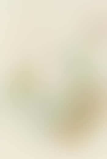 Landschaft (preview)