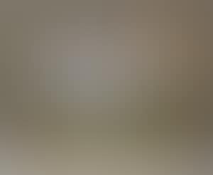 Landscape (preview)