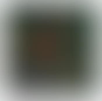 Fiori di nasturzia (preview)