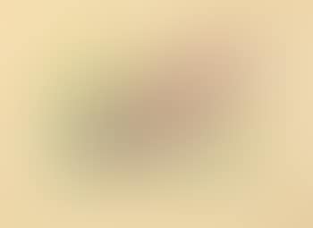 Ohne Titel (Nashorn) (preview)