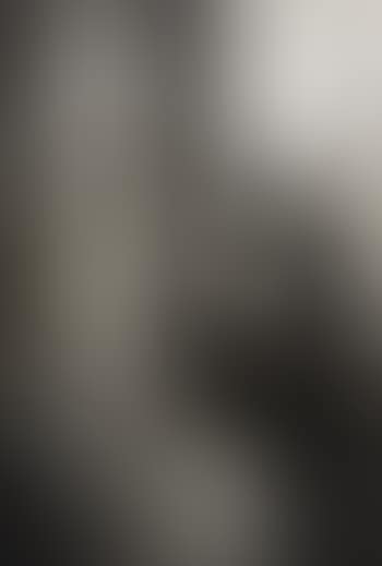 Bonnard (preview)
