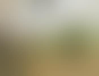Kew (preview)