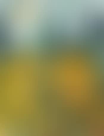 Sunflowers (preview)