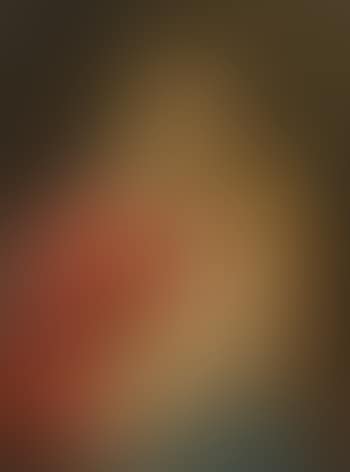 The Madonna And Child With The Infant Saint John The Baptist (preview)