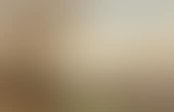 Panoramic landscape, sunset (preview)
