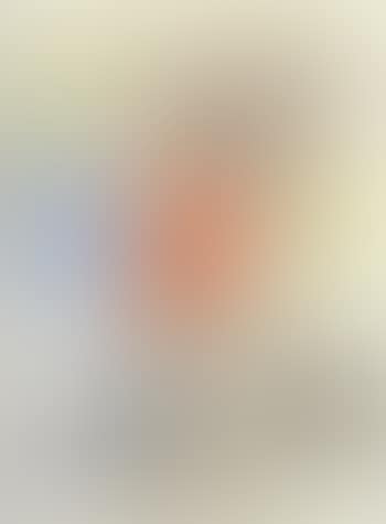 Femme et oiseau devant le soleil (preview)