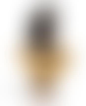 Bust Of The Apollo Belvedere (preview)