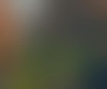 Landschaft mit Ziegen (preview)