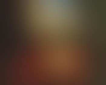 Stilleben mit Tulpen (preview)