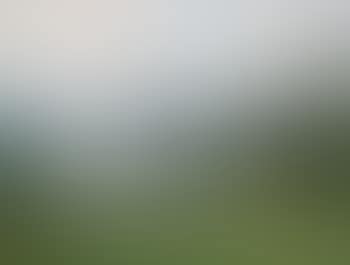 Am Titisee (preview)