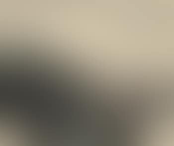 Landscape (preview)