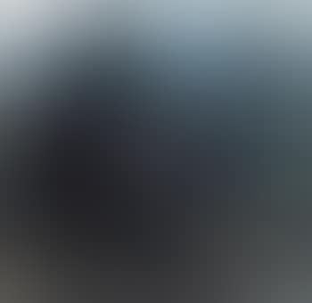 Green Pines (preview)