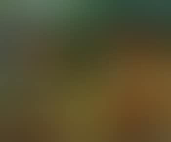 Landscape (preview)