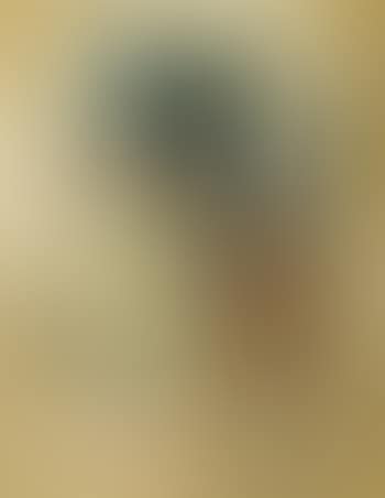 Design for a poster (preview)