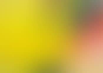 Ohne Titel (preview)