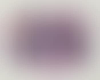 Untitled (SF220S) (preview)