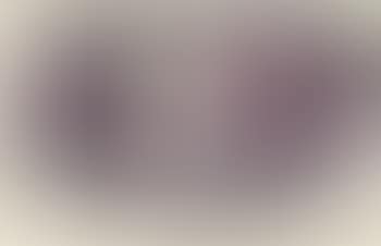 Untitled (SF76-176) (preview)