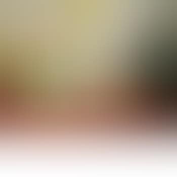 Nature morte saladier de tomates (preview)