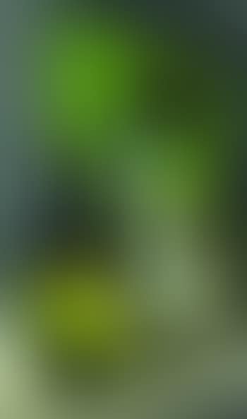 Verre et citron (preview)