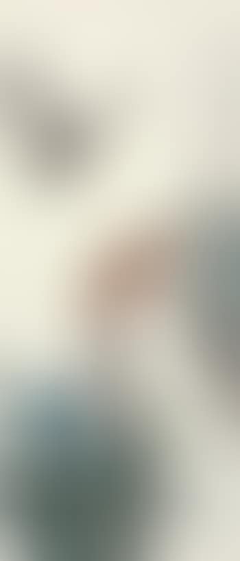 Pigeon (preview)