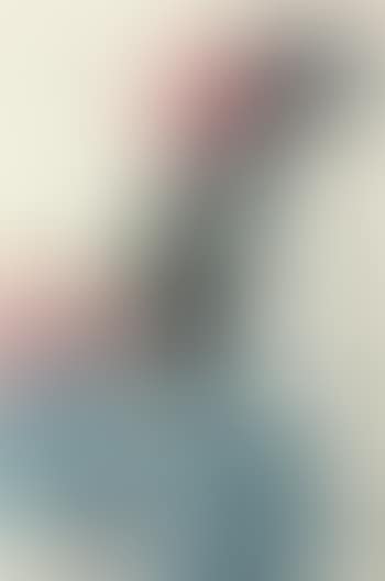 Lotus (preview)