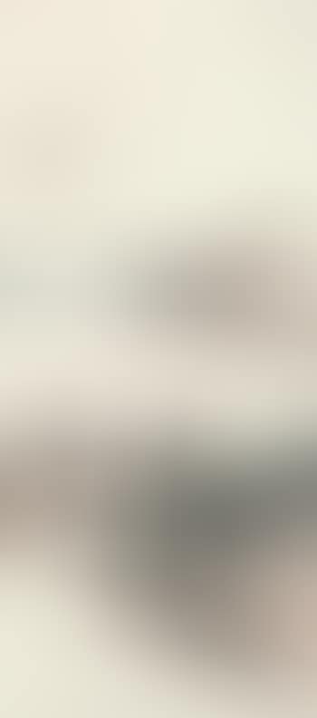 Landscape (preview)